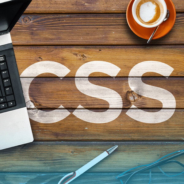 What is CSS? | Newtech Academy